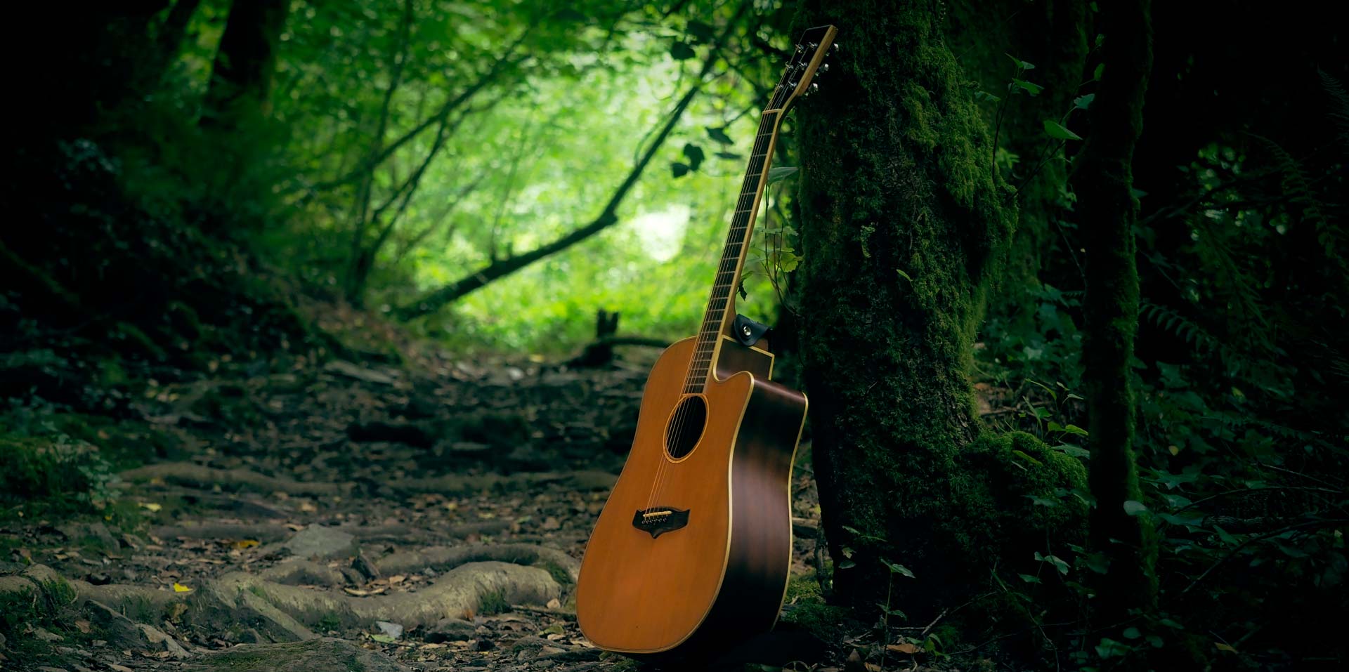 Guitarra
