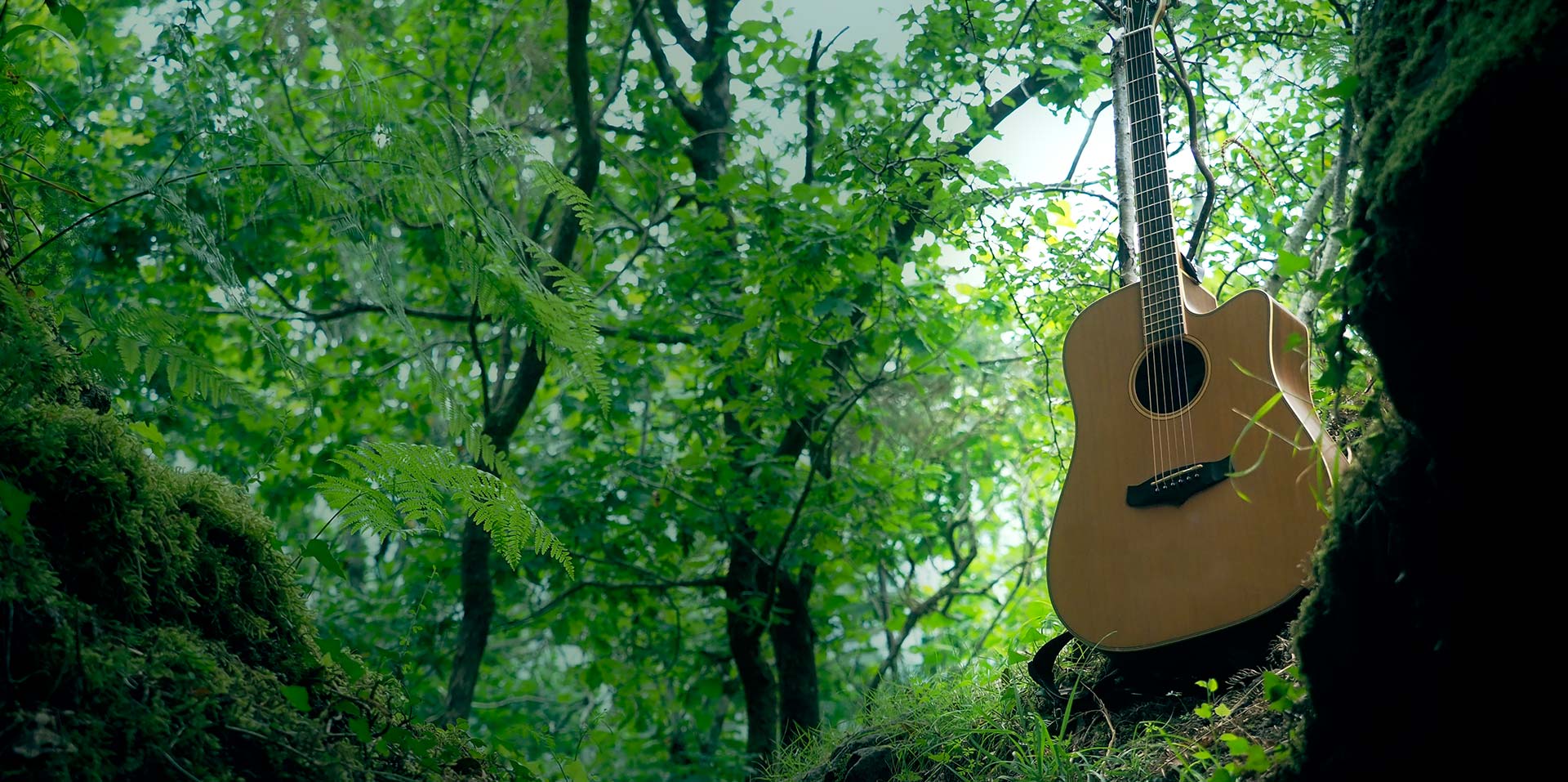 Guitarra